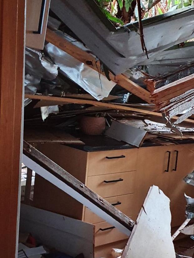 Three trees crushed the Guest family’s Kalorama home during the June 9 storm.