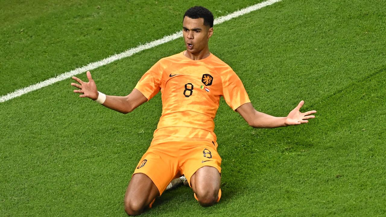 Netherlands' forward #08 Cody Gakpo celebrates scoring his team's first goal during the Qatar 2022 World Cup Group A football match between Senegal and the Netherlands at the Al-Thumama Stadium in Doha on November 21, 2022. (Photo by MANAN VATSYAYANA / AFP)