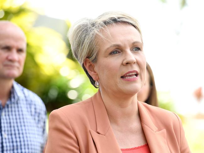 Minister for the Environment and Water Tanya Plibersek in Townsville on Wednesday. Picture: Shae Beplate.