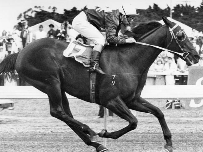 Black Knight, ridden by jockey Peter Cook, wins the Melbourne Cup at Flemington in 1984.