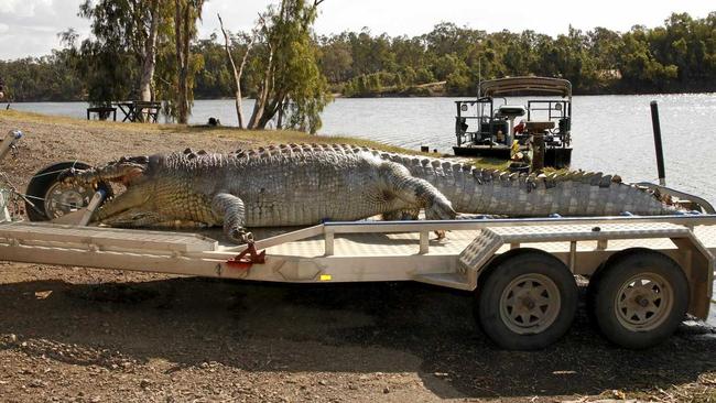 Police and officers from the Department of Environment and Heritage Protection are investigating the shooting of an iconic 5.2m crocodile near Etna Creek north of Rockhampton.