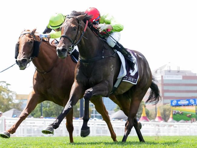 Winnasedge ridden by Michael Dee wins the Senet Gambling Law Experts Handicap at Caulfield Racecourse on February 22, 2025 in Caulfield, Australia. (Photo by George Sal/Racing Photos via Getty Images)