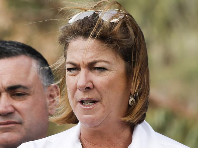 NSW Water Minister Melinda Pavey. Picture: Dylan Robinson