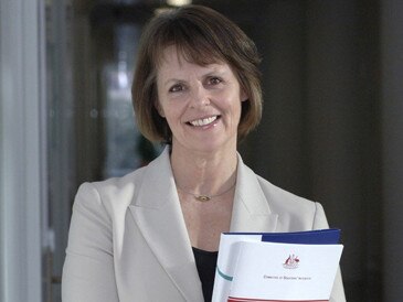 Former Australian Democrats leader Lyn Allison said the nuclear ban was one of hundreds of amendments her party negotiated.