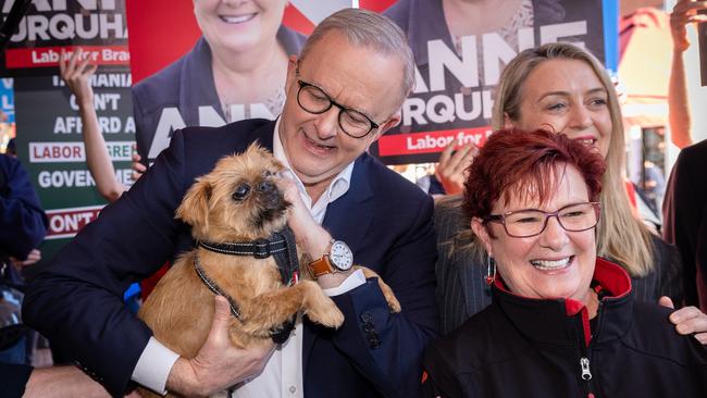 Mr Albanese on the campaign trail in Devonport, Tasmania. Picture: Jason Edwards/NewsWire