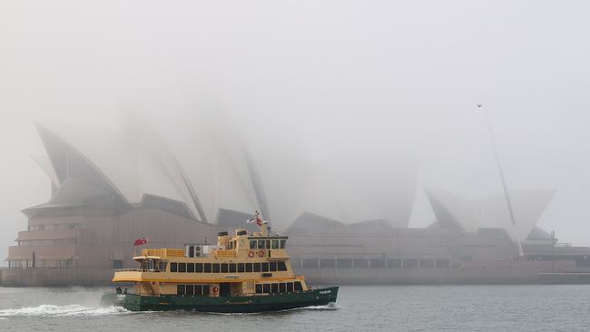 Some ferry services were suspended briefly. Picture: NCA NewsWire / Dylan Coker