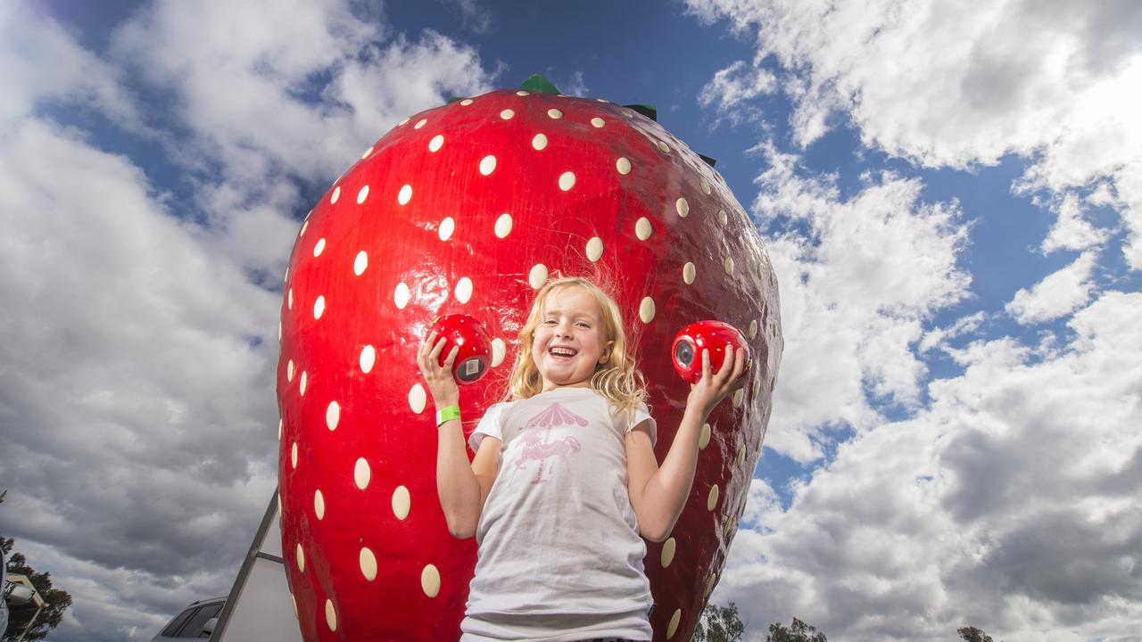 Mia at the Big Strawberry, a cafe and strawberry-picking business in Koonoomoo, about 265km north of Melbourne. Picture: Rob Leeson.