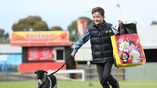 FUN: Archie Williams with 'Daisy' the lamb at Adelaide Showground. Picture: TAIT SCHMAAL