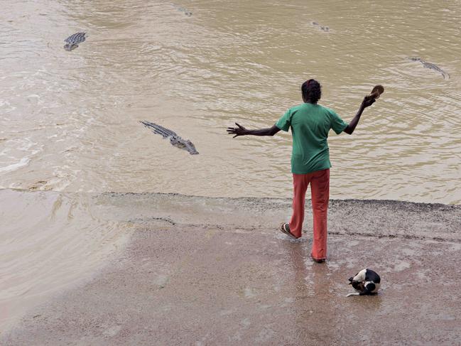 2016: A woman attracts the attention of an almost 4m saltwater crocodile when she approached the edge of Cahills Crossing along with her puppy named Meatball. She then slapped her thong to scare away the beast and the threw a stick which hit the croc.