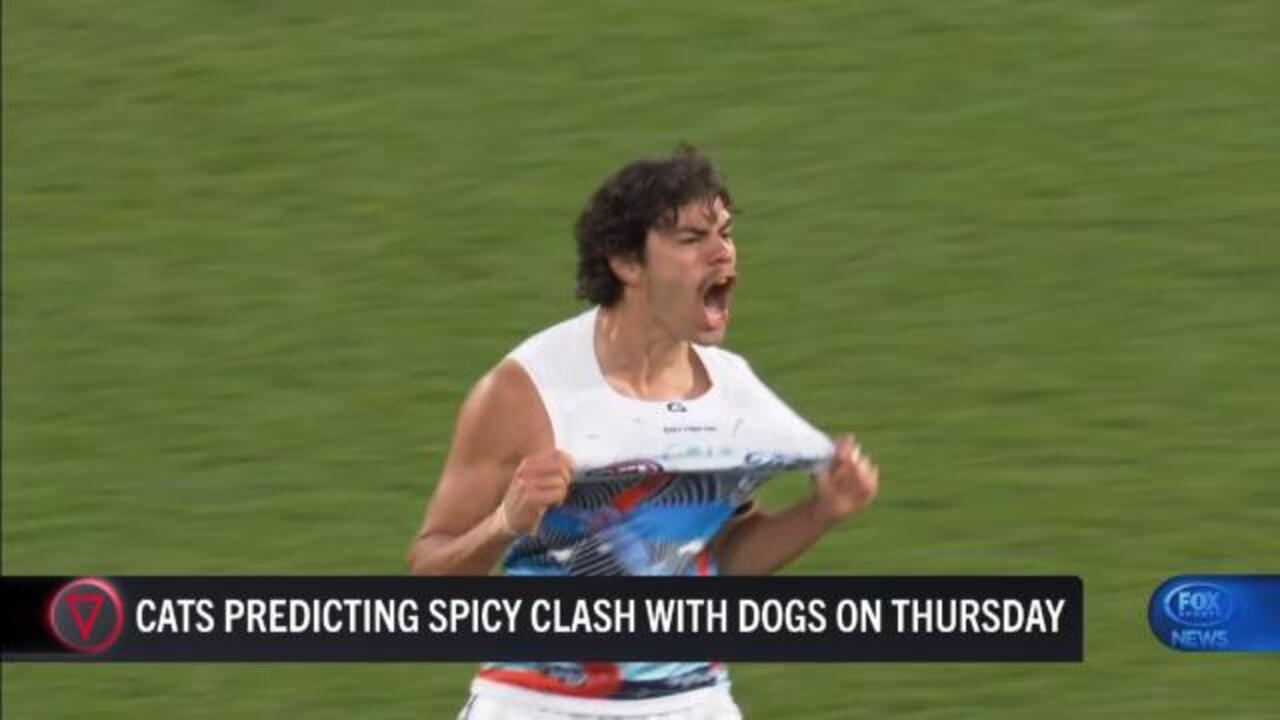 Cats expecting spicy clash with Dogs