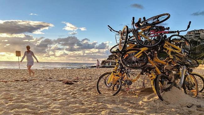 Share bikes on a beach in Sydney. The bikes have become fodder for viral social media accounts. Photo: Instagram