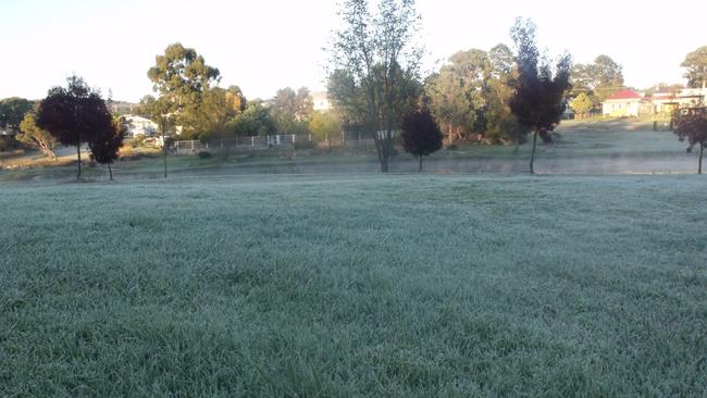 The minimum is likely to drop to 3C in Stanthorpe on Sunday morning. Picture: Karina Sommerlad / Stanthorpe Border Post