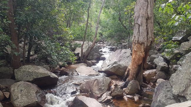 Take a dip at Robyn Falls. Picture: LAUREN ROBERTS