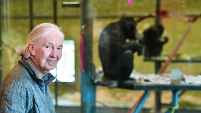 National Geographic’s latest doco on Primatologist Dr. Jane Goodall is a must watch.