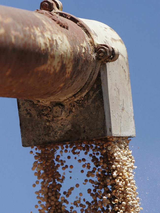 An auger was used to transfer pig feed into a silo. Picture: Generic