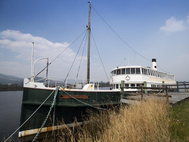 Cartela waits, tied up at Franklin. Picture: Richard Jupe