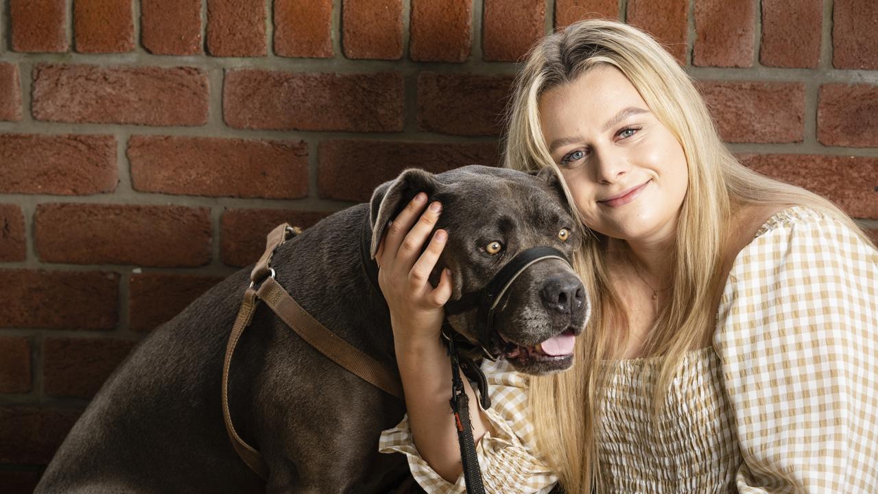 Cait and Co Pet Minding owner Caitlyn Hamilton with her mastiff Reaper. Picture: Kevin Farmer