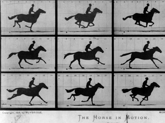 The Horse in Motion by photographer Eadweard Muybridge on June 15, 1878. Public domain