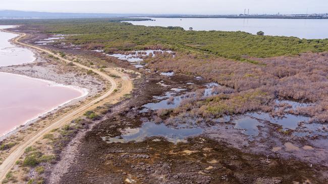 Drone footage reveals damage to mangroves and saltmarsh at St Kilda. Picture: Alex Mausolf