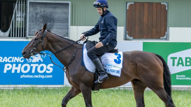 Without A Fight at Werribee trackwork. Picture: Jay Town–Racing Photos via Getty Images