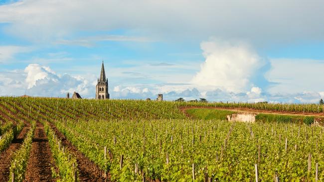 The bell tower of Saint-Émilion seen from Château Bélair-Monange. Picture: Holly Gibson