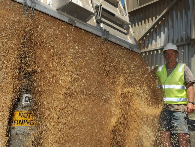 Crop harvest, Wimmera, Mallee. Grain Flow Recieval Site, Charlton. unloading wheat. John Brennan from Corack East.