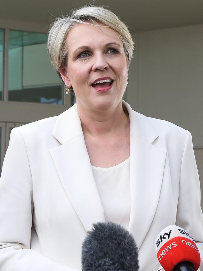 Labor’s spokeswoman for women Tanya Plibersek. Picture: NCA NewsWire / Gaye Gerard