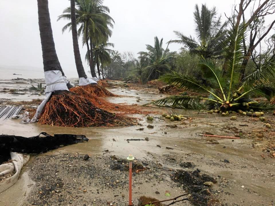 DESTRUCTION: The foreshore at Midge Point following Cyclone Debbie. Picture: Kylie Barry