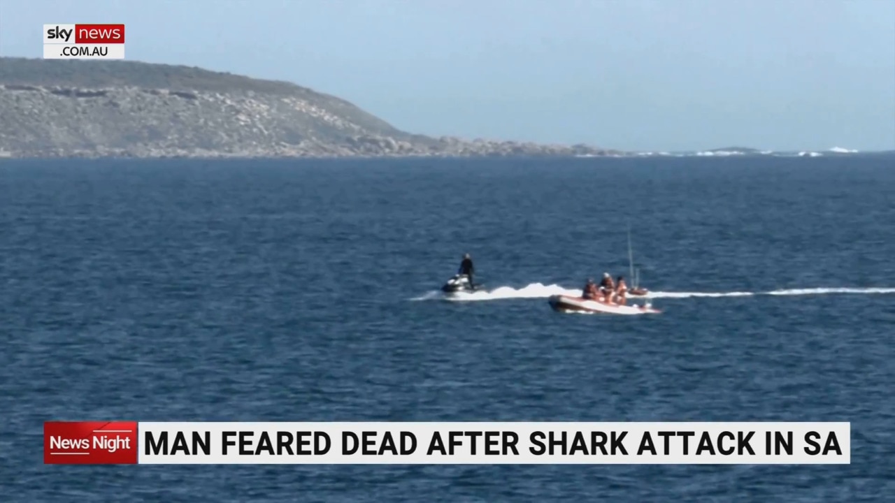 Fatal Shark Attack Claims Russian Man's Life in Egypt's Red Sea, Hurghada, Tourist