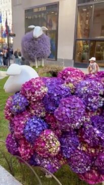 Floral Lambs Decorate Rockefeller Center for Easter Weekend