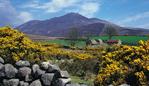 ESCAPE: IRISH_FOOD, Janet Fife-Yeomans- 24FEB19- The Mourne Mountains a granite mountain range located in County Down in the south-east of Northern Ireland, are among the most famous of the mountains in Ireland. Picture: Tourism NI