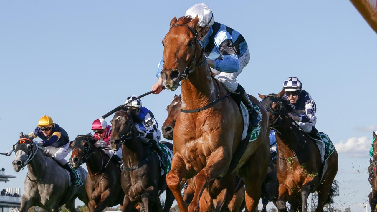 Smokin' Romans (NZ) ridden by Ethan Brown wins the TAB Turnbull Stakes at Flemington Racecourse.