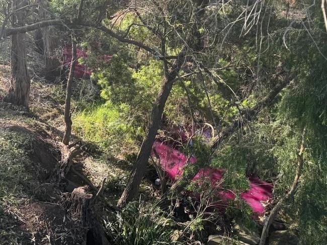 A creek in Kellyville, in the Hills Shire, has turned bright pink. Picture: Contributed