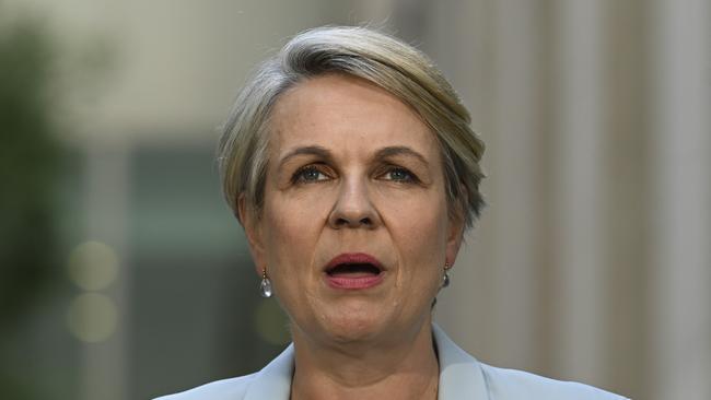 Federal Environment Minister Tanya Plibersek will take part in the launch via video. Picture: Martin Ollman