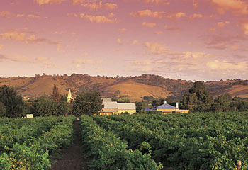 Bethany... a typical scene in the superb getaway Barossa Valley zone. Picture: SA Tourism Commission