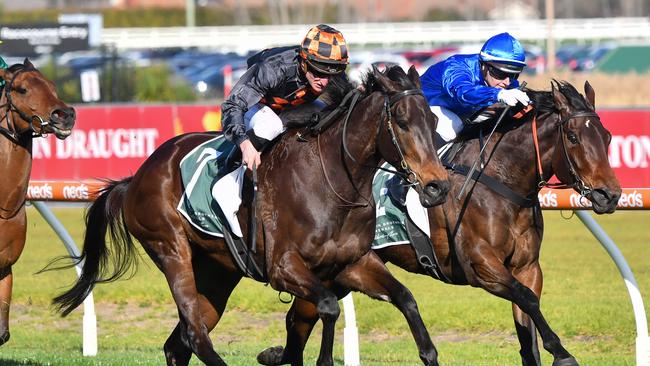 Benedetta heads to Adelaide for the Group 3 R N Irwin Stakes on Saturday. Picture: Pat Scala/Racing Photos