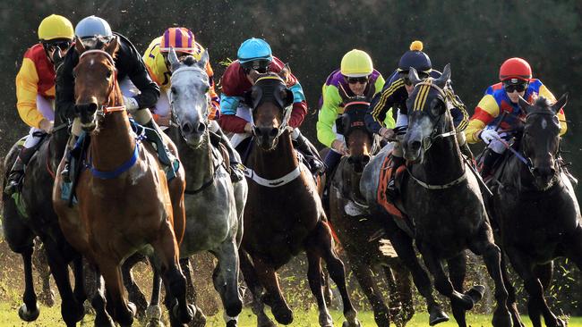 Racing in New South Wales on Friday is at Gosford, Ballina and Wellington.