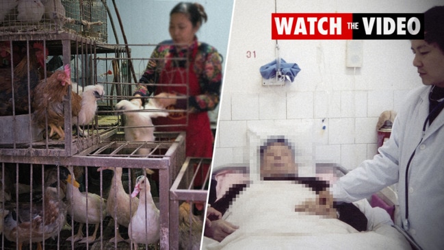 China Reports First Human Case Of H10N3 Bird Flu | NT News