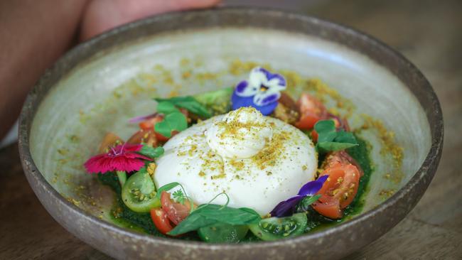 Chef Priscilla Sweet’s Burrata a speciality, as The Lounge opens up in Paradise Point on August 17. Picture: Glenn Campbell