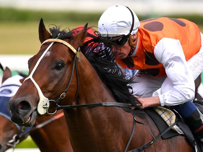 Jockey Nash Rawiller rides Bottega to victory in race 6, the Signarama Benchmark 78 Handicap, during Gosford Cup Day at Royal Randwick Racecourse in Sydney, Saturday, May 9, 2020. (AAP Image/Dan Himbrechts) NO ARCHIVING, EDITORIAL USE ONLY