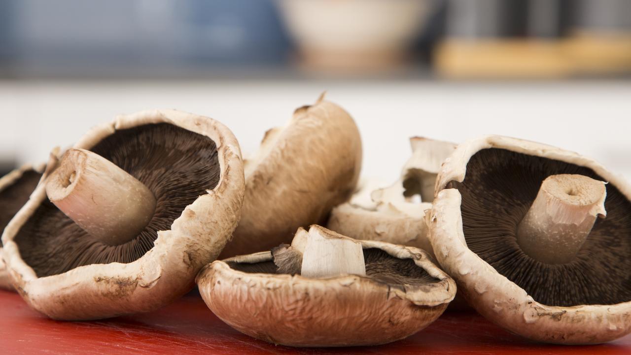 eating-mushrooms-slashes-cancer-risk-according-to-new-study-news