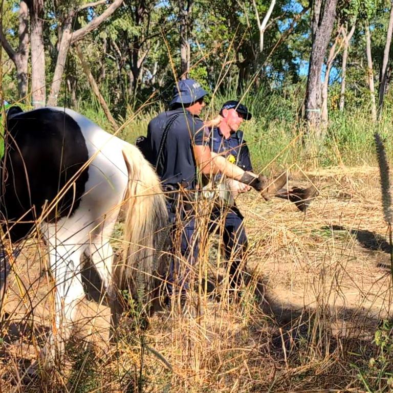 Police arrested up to a dozen Binybara Camp members who attempted to block further land clearing at Lee Point on Wednesday, May 1. Picture: Zizi Averill