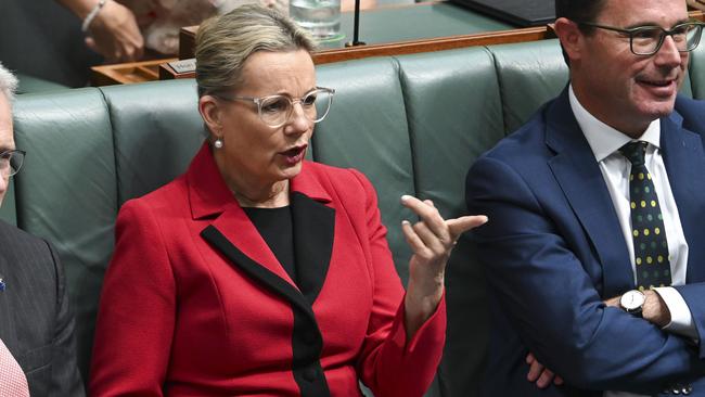 Deputy Leader of the Opposition Sussan Ley is putting corporate Australian “on notice” ahead of a landmark gender pay gap report on Tuesday. Picture: NCA NewsWire/Martin Ollman