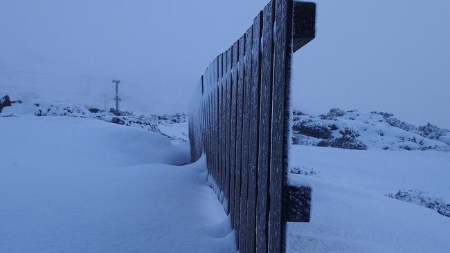 Snowfall at Ben Lomond National Park. Photo: Instagram