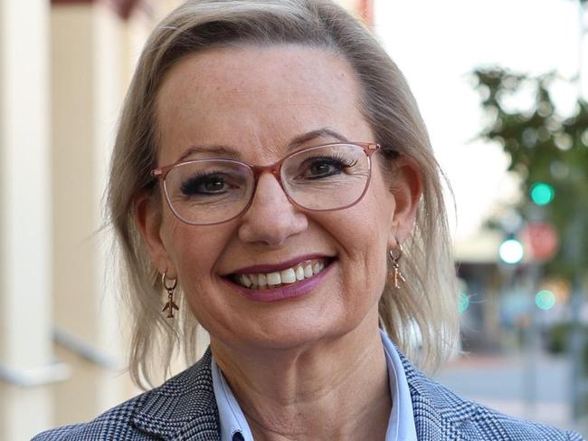 Sussan Ley has made her official pitch to run for leadership of Liberal Party. Picture: Facebook