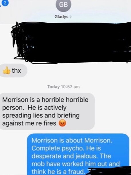 Screenshots of a leaked text conversation between former NSW Premier Gladys Berejiklian and a cabinet minister have been revealed.