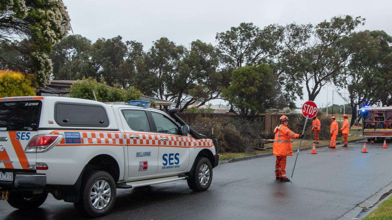 SES removes a fallen tree on Draper St, Ocean Grove. Picture: Brad Fleet