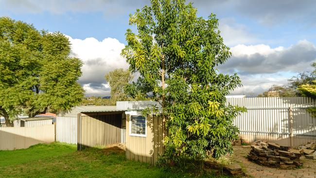 <b>STILL STANDING: </b>The tree in the backyard of 13 Ellwood Ave, Para Vista. Picture: Nick Clayton.