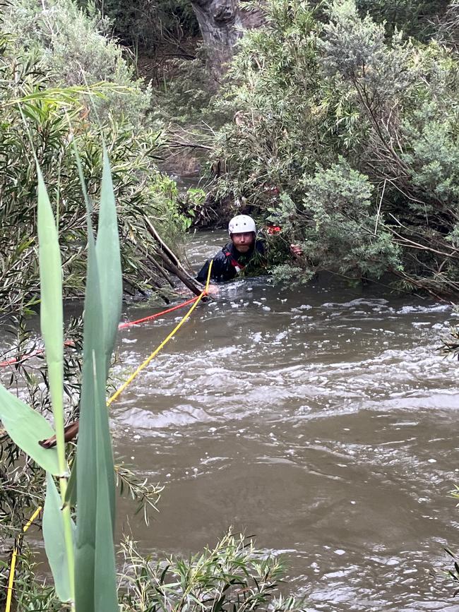 Tethered swimmers helped pull Minka and Madi to safety.