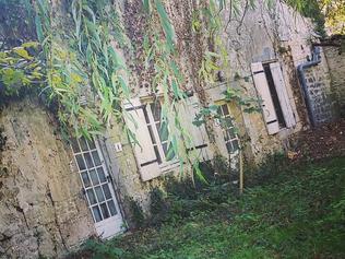 Overgrown … These two run-down lodges will be converted into private residences.